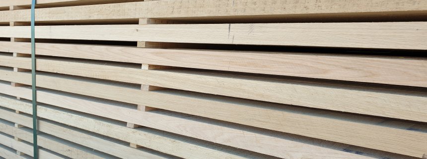 Oak Timber | Meşe Taslak 