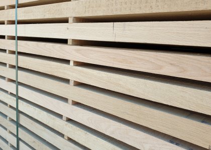 Oak Timber | Meşe Taslak 